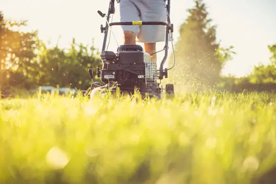 A push mower cutting healthy green Bermuda grass on a sunny North Alabama lawn
