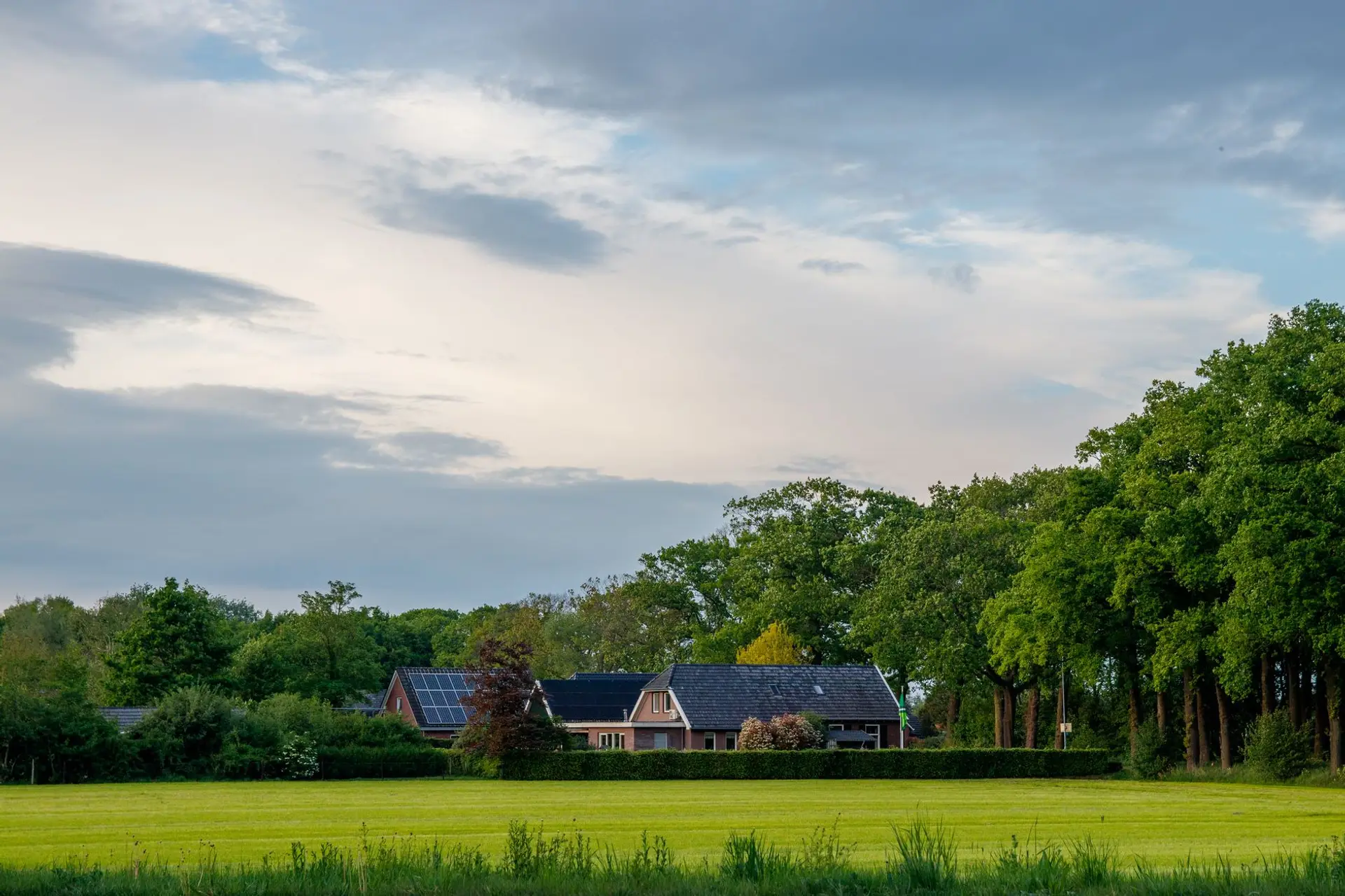 A large, well-mowed rural residential lawn with open acreage and a wooded tree line in Hazel Green, Alabama, near the Tennessee state line