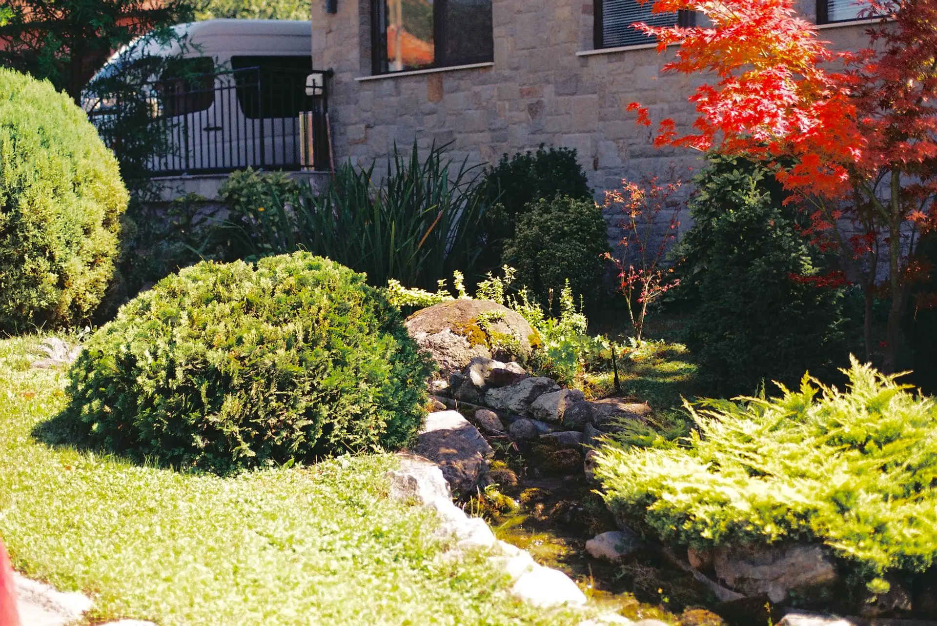 Beautifully landscaped backyard with a healthy green lawn