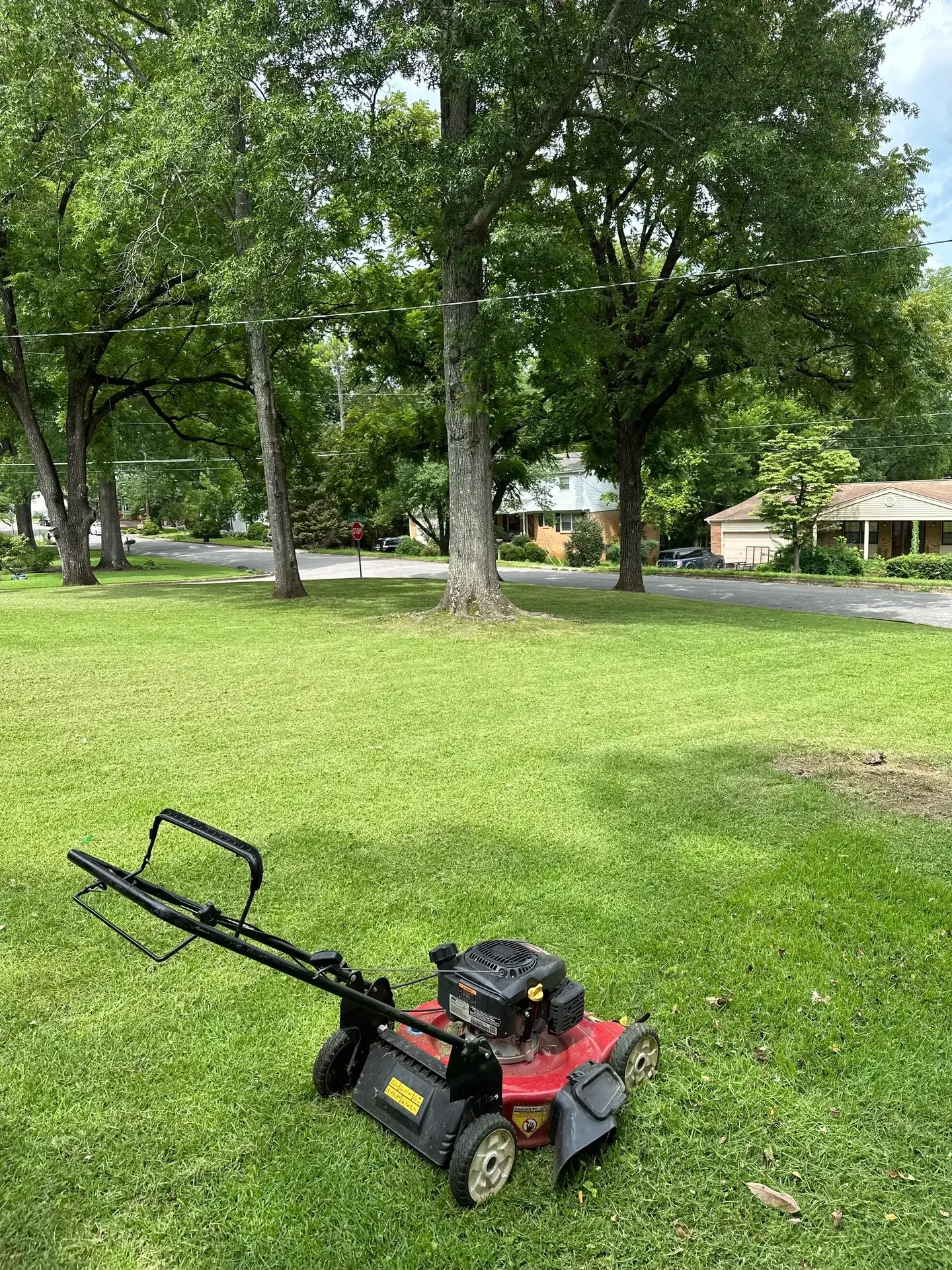Lawn Care & Mowing project by Olympic Mountain Landscaping in North Alabama
