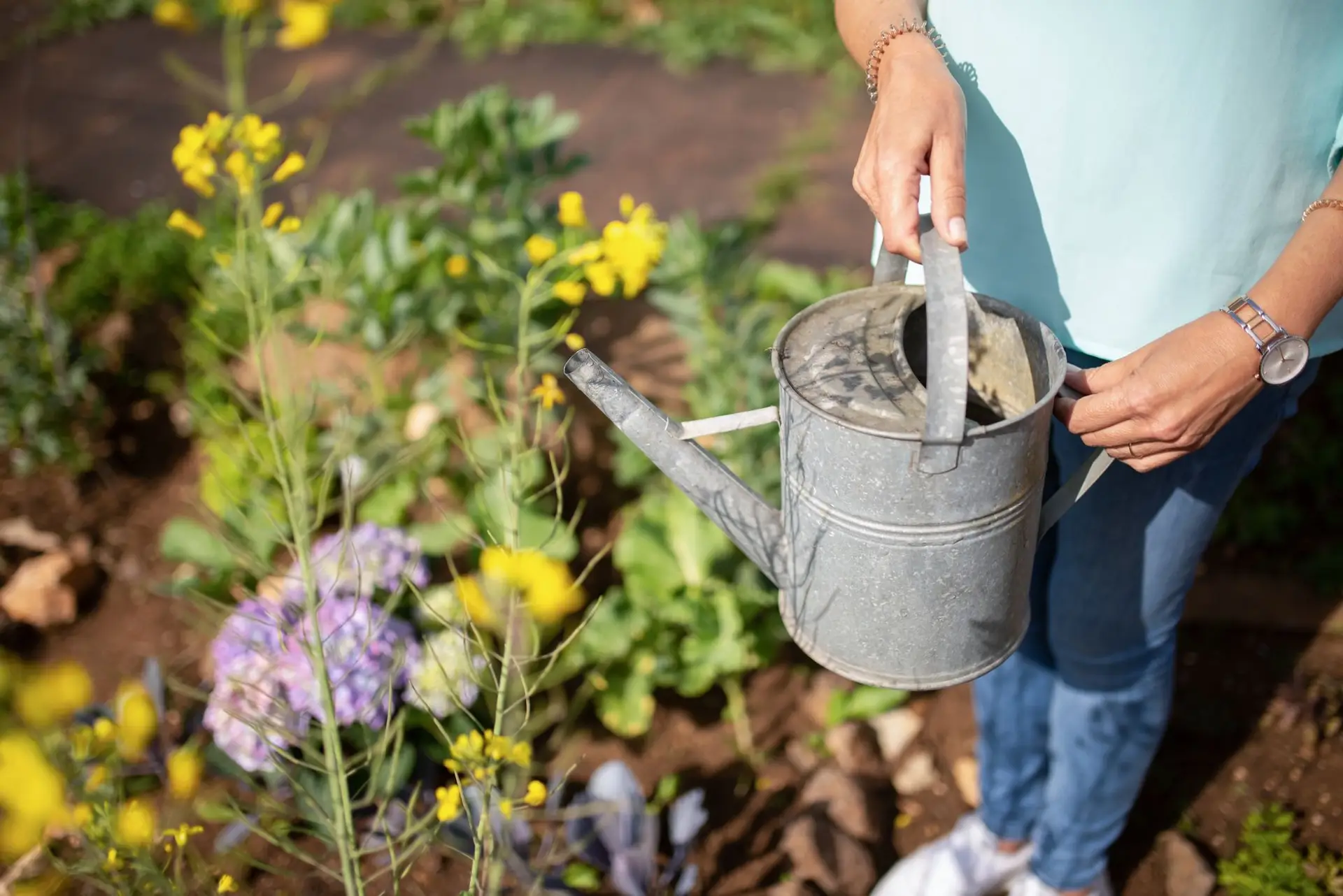Gardener tending a healthy landscaped flower bed
