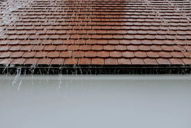 Gutter Cleaning service in North Alabama