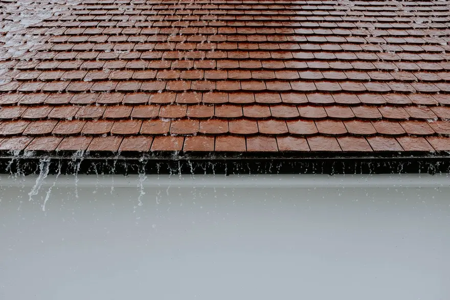 Gutter Cleaning in North Alabama