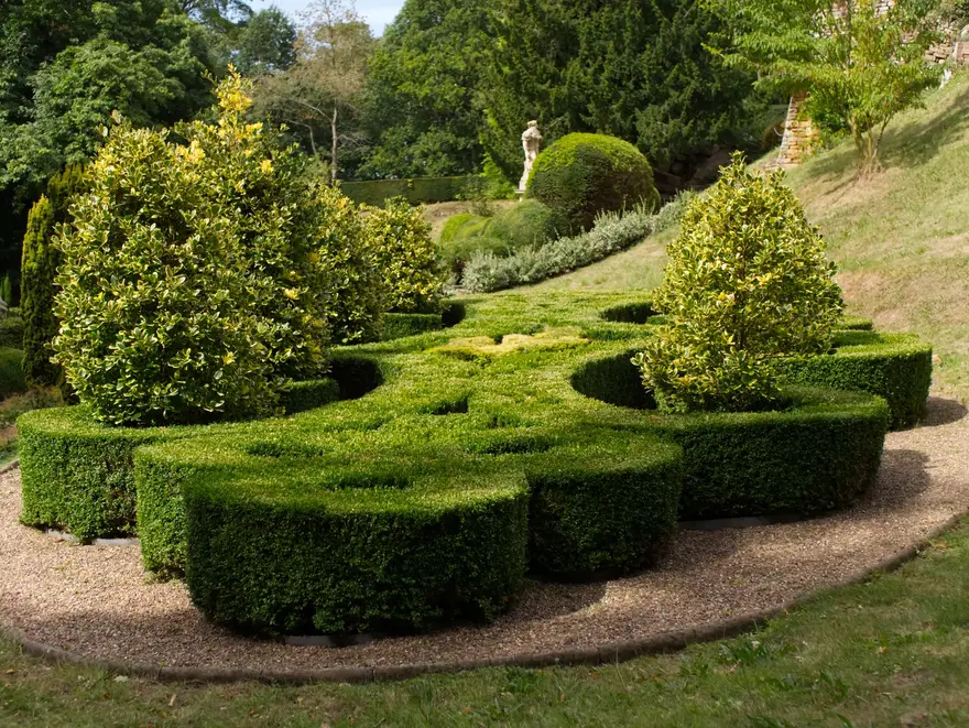 Hedge & Shrub Trimming in North Alabama
