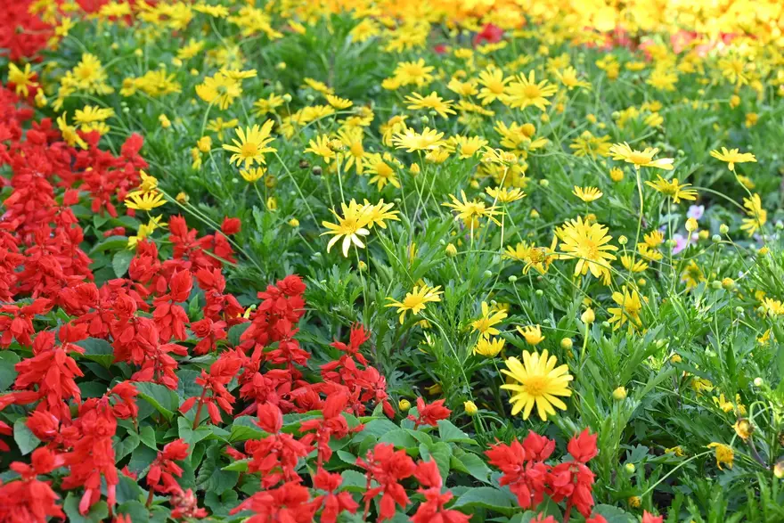 Landscaping & Flower Bed Design in North Alabama