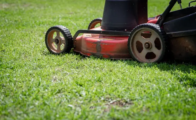 Lawn Care & Mowing service in North Alabama