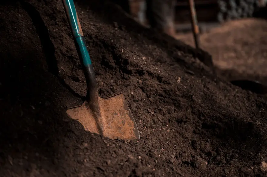 Soil Test by Olympic Mountain Landscaping