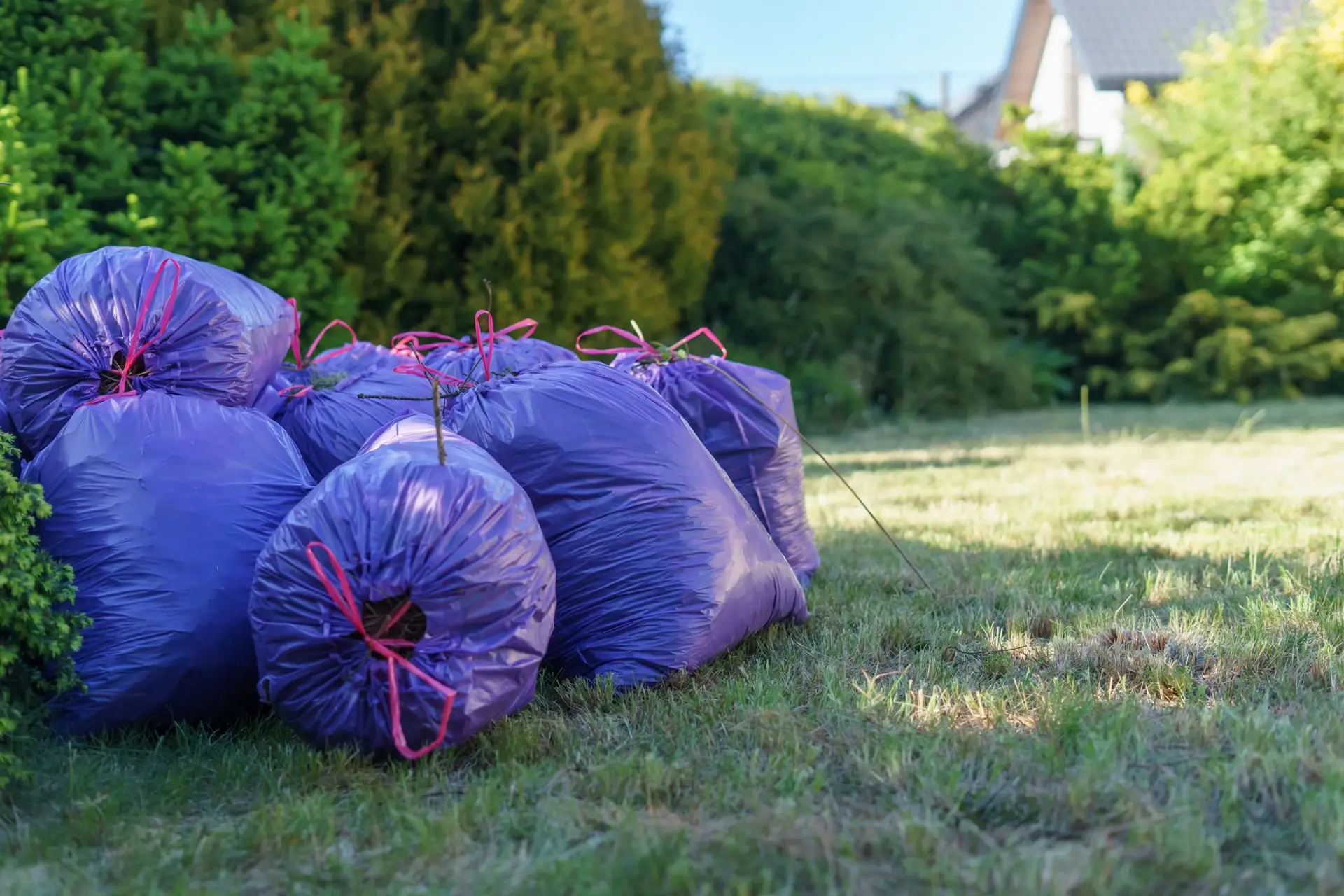 Filled yard waste bags stacked at the edge of a lawn, ready to be hauled off